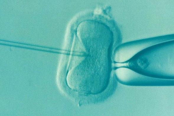 胚胎移植前打降调针有哪些优势，风险和副作用也同样存在