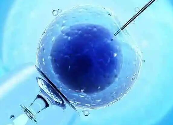 试管胚胎着床时间受哪些因素影响
