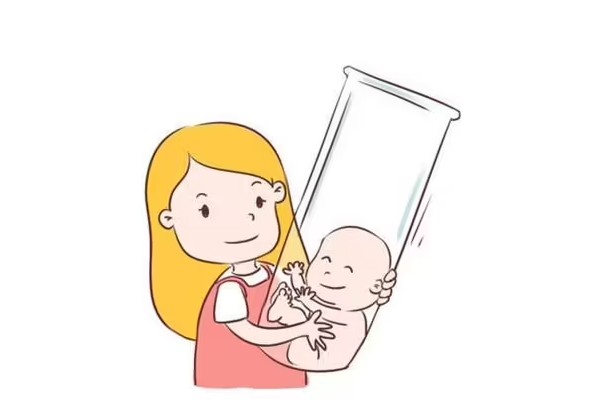 试管婴儿不同阶段对于营养需求是什么