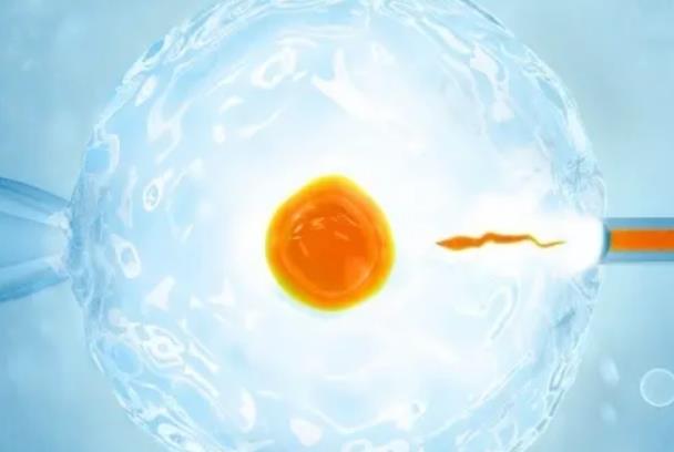 试管促排后只有8个卵泡别担心，了解卵泡质量的重要性
